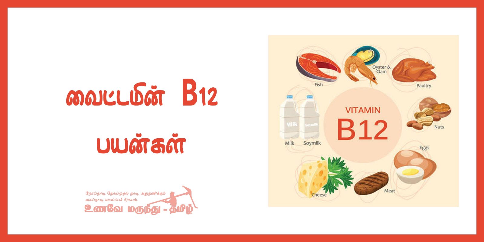 வைட்டமின் B12 பயன்கள்/ Benefits of Vitamin B12