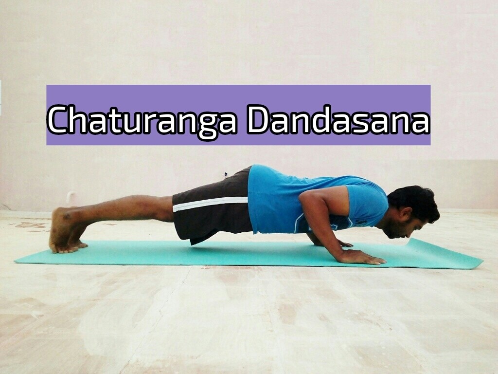 Chaturanga Dandasana – சதுரங்க தண்டாசனம்