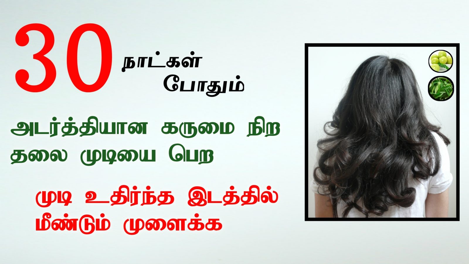 முடி கருமையாக அடர்த்தியாக வளர | முடி உதிர்த்த இடத்தில மீண்டும் வளர | Hair Growth Tips in Tamil