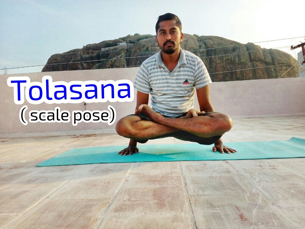 Tolasana – Scale Pose – Lifted Lotus Pose – துலாசனம்