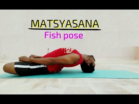 MATSYASANA – FISH POSE
