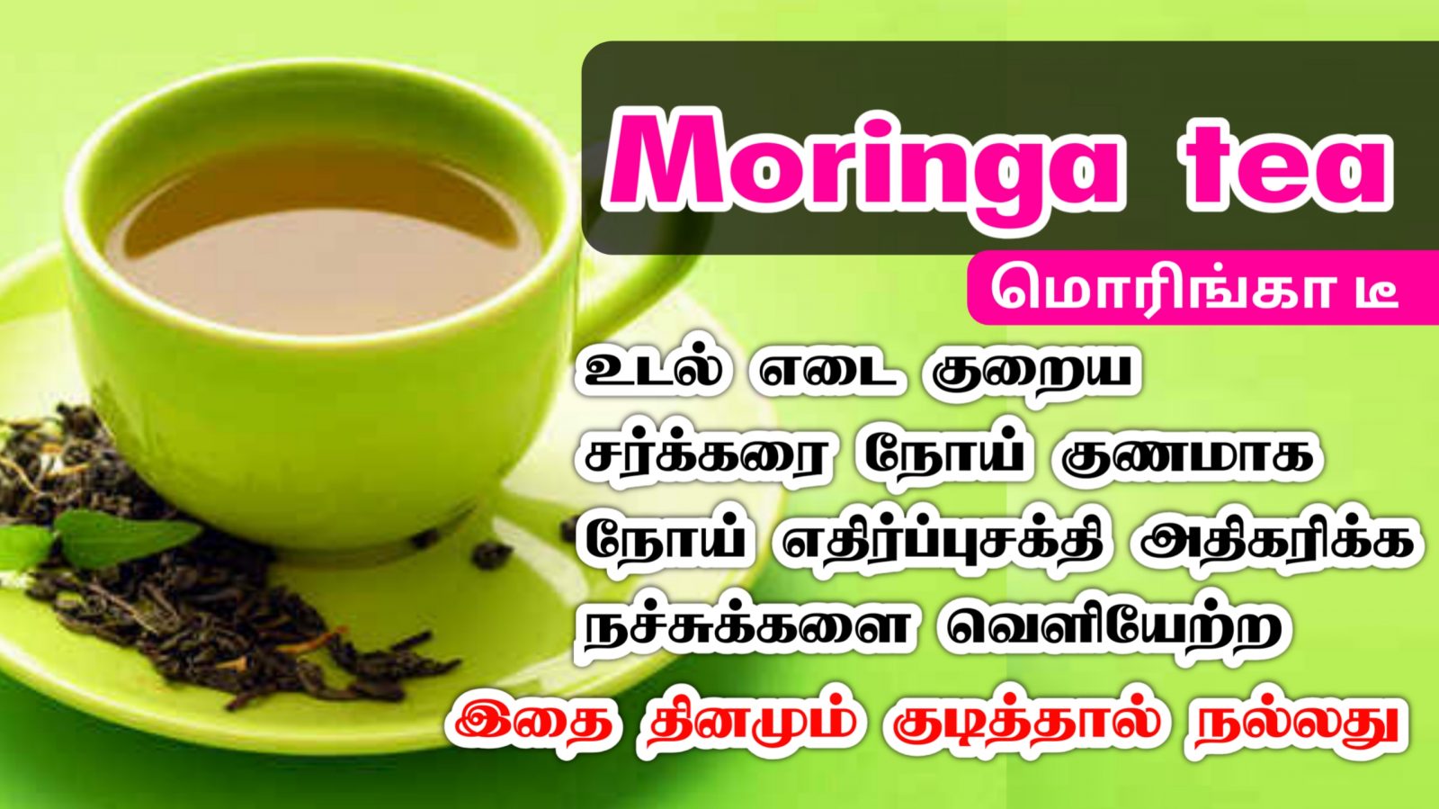 மோரிங்கா டீ குடிப்பதால் உடலுக்கு கிடைக்கும் நன்மைகள் | Moringa tea Benefits in Tamil
