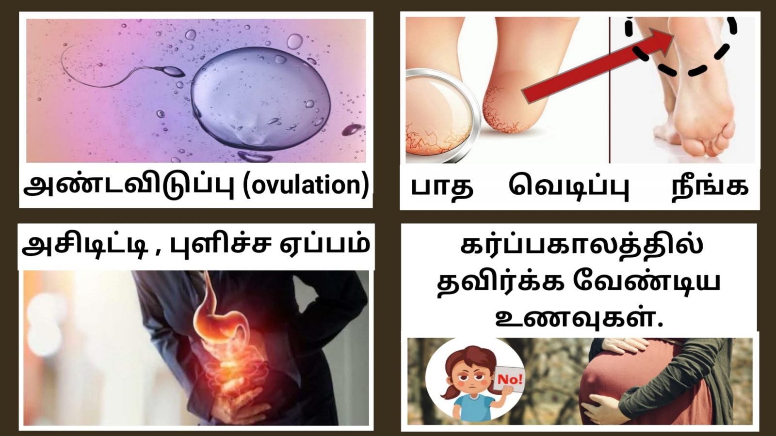 இன்றைய தகவல்கள் 2 அண்டவிடுப்பு (ovulation) என்றால் என்ன ?அதன் அறிகுறிகள் எப்படி இருக்கும் ? Reduce Your Acidity, Heart Burn, Acid Reflux, Gerd, Stomach Problems in Tamil | NEXT DAY 360 பாத வெடிப்பு நீங்க | Cracked Heels Home Remedies in Tamil | Patha vedippu tips | Next Day 360கர்ப்பகாலத்தில் எவ்வகை உணவுகளை உண்ண வேண்டும் ? | What foods should be eaten