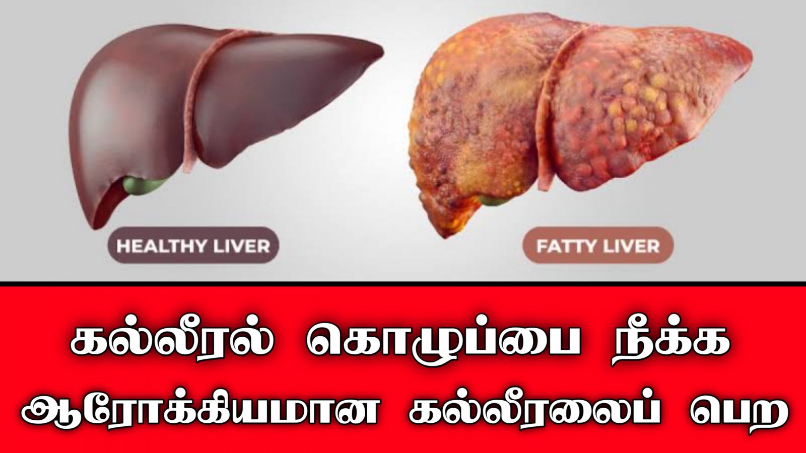 கல்லீரல் பிரச்சனைகள் குணமாக உதவும் கடுகுரோகிணி | Solution for liver problems | Part-2 | Nextday360