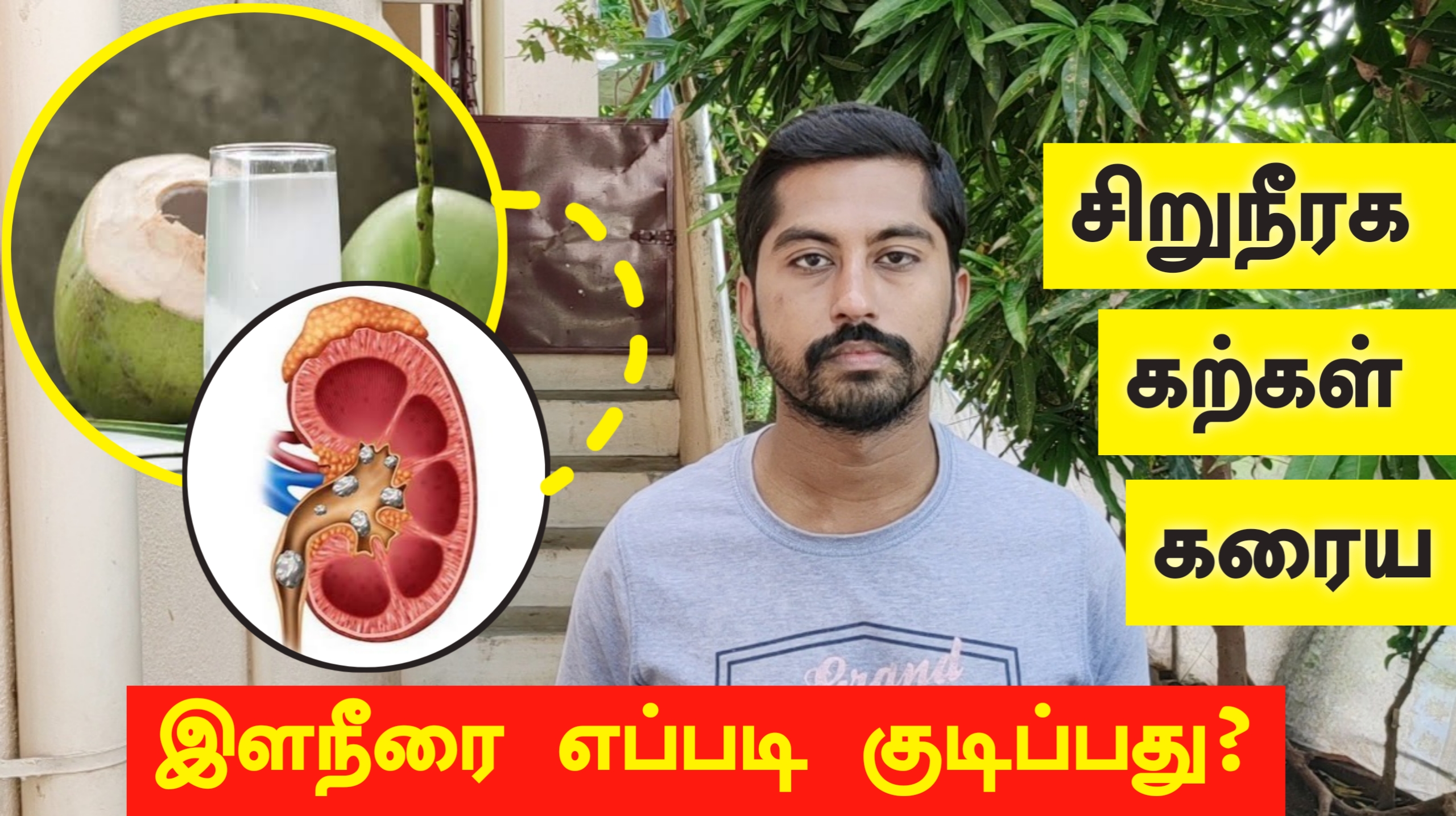 சிறுநீரக கல்லால் வலி வேதனையா? இளநீரை இனி இப்படி குடிக்கலாம் | Kidney stone removal in tamil